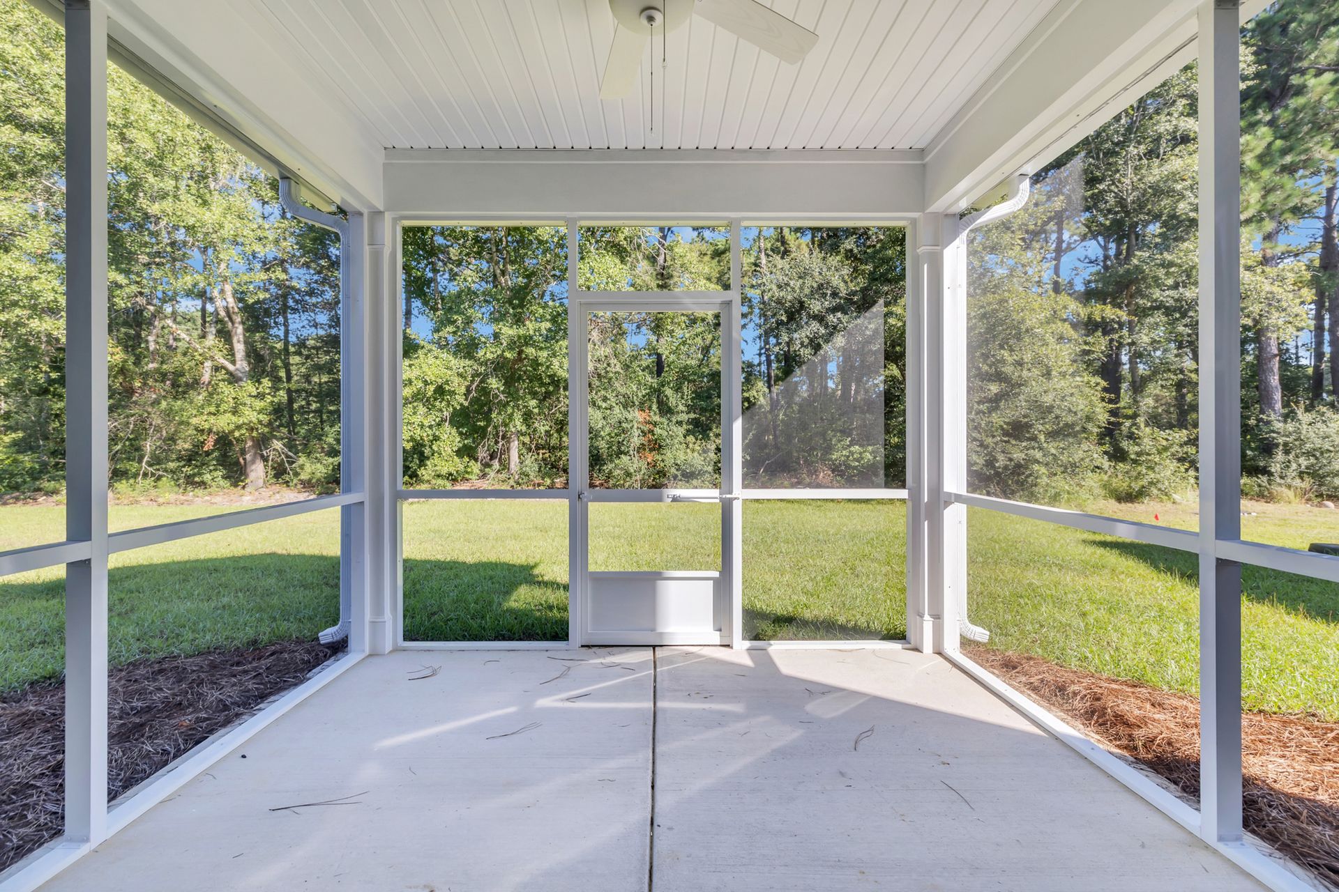 Back Patio