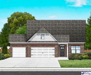 1171 Summer Duck Loop Lot 57 (1171 Summer Duck Loop (Lot 57))