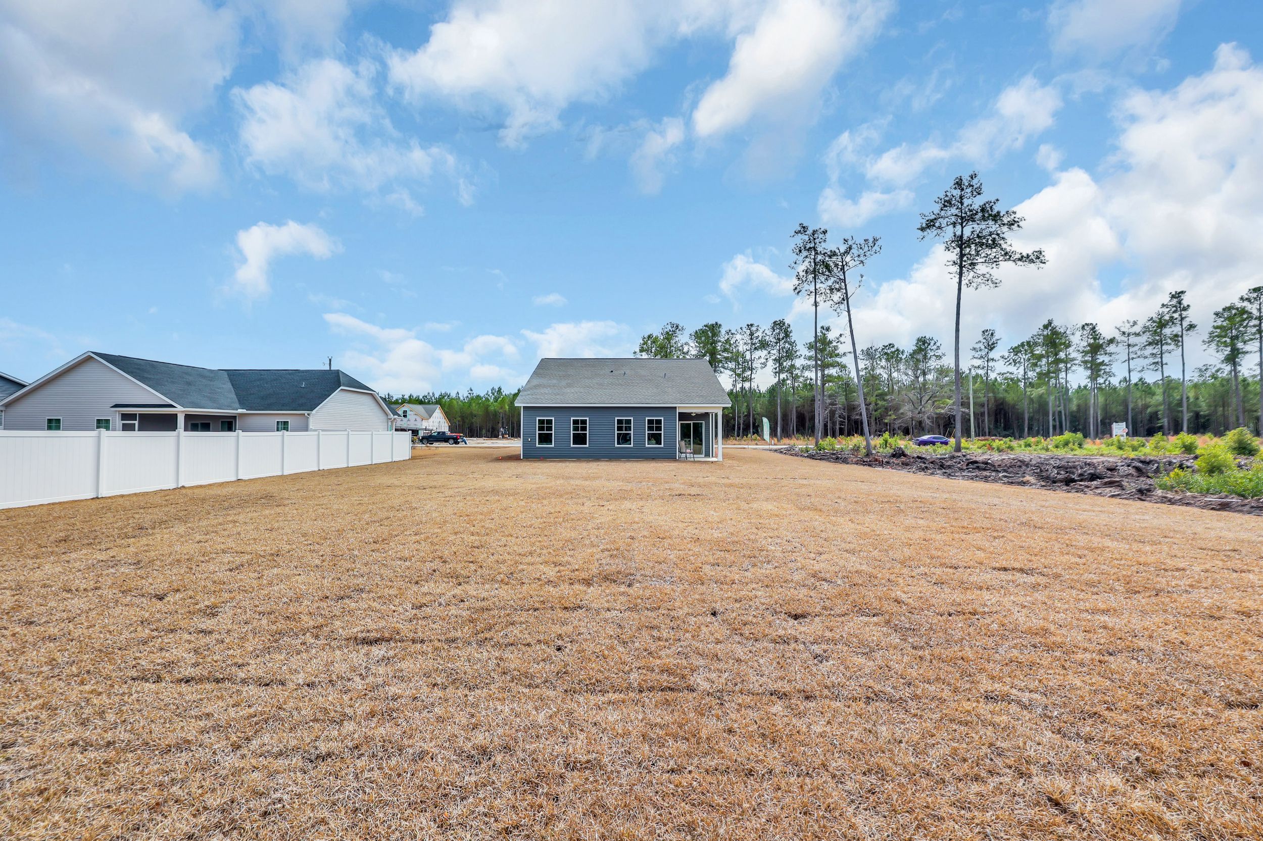 Darcy II - Back Exterior