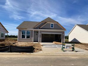 145 River Birch Dr Lot 159 Habersham11 (145 River Birch Dr. Lot 159 Habersham11)