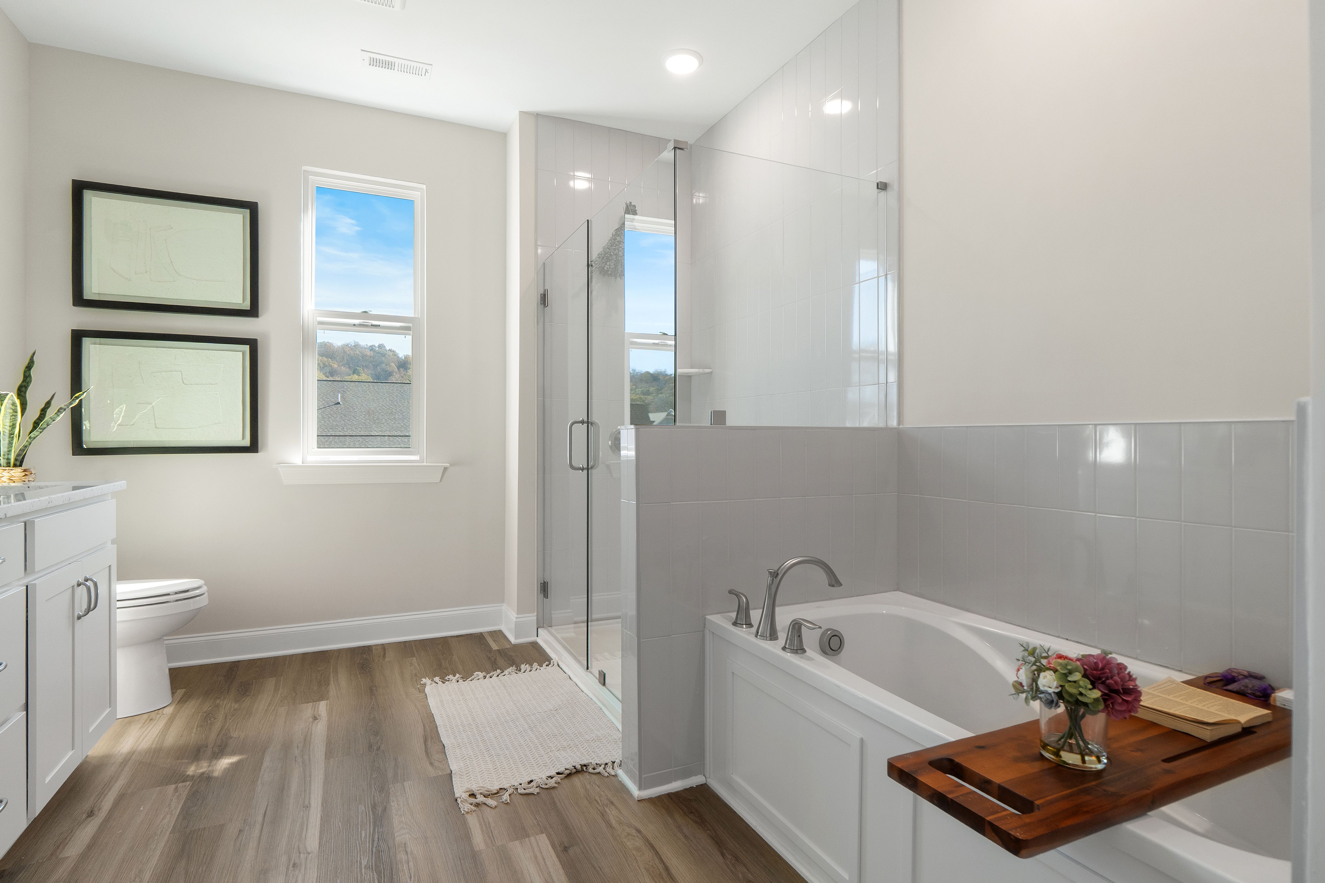 Optional tub and frameless glass