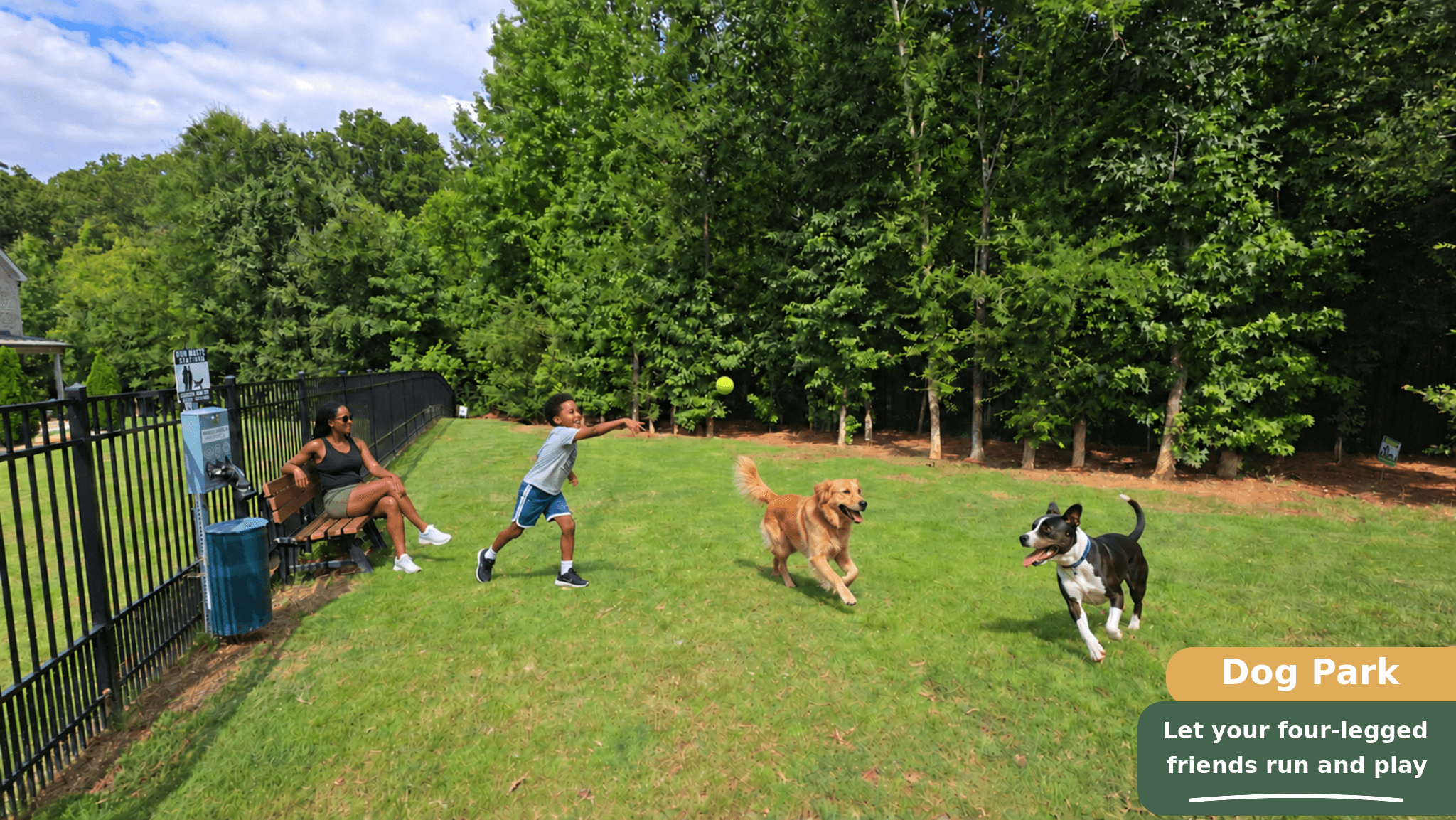 Dog Park
