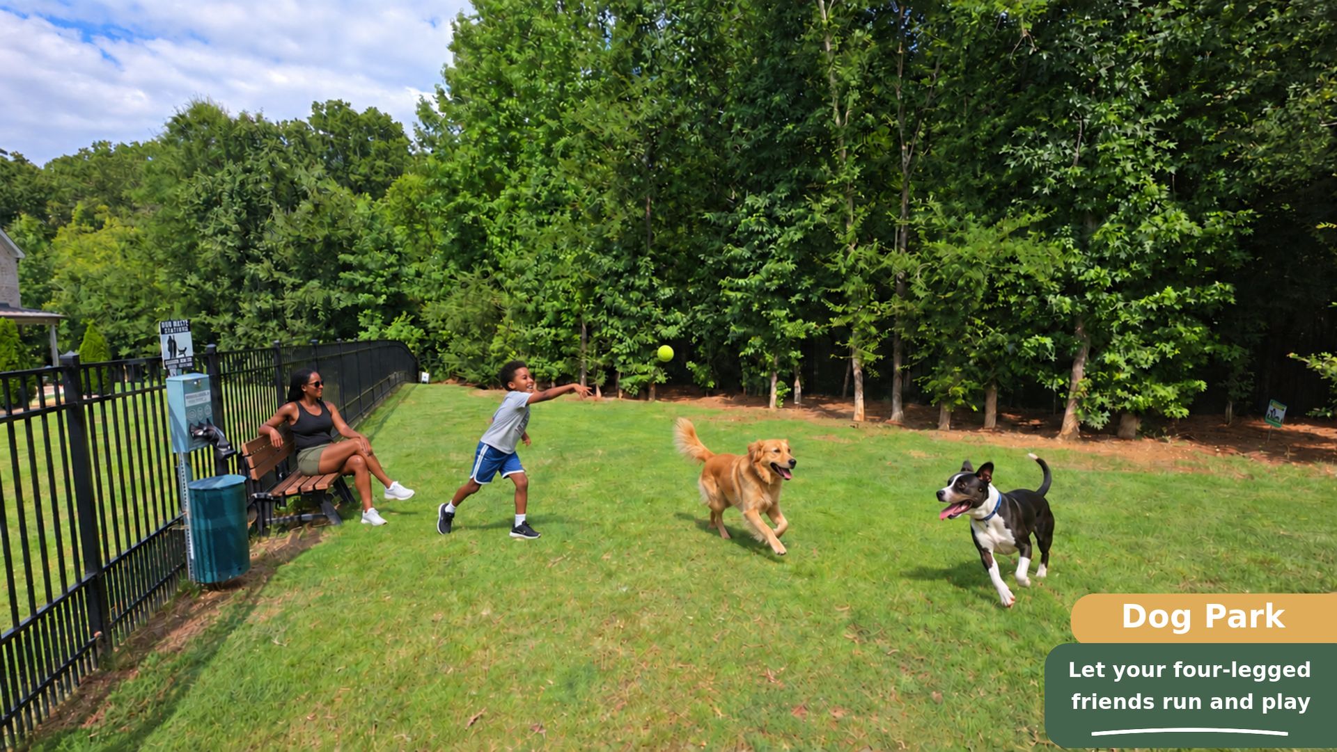 Dog Park