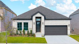 Brice II - Painted Tree - Woodland West: McKinney, Texas - Normandy Homes