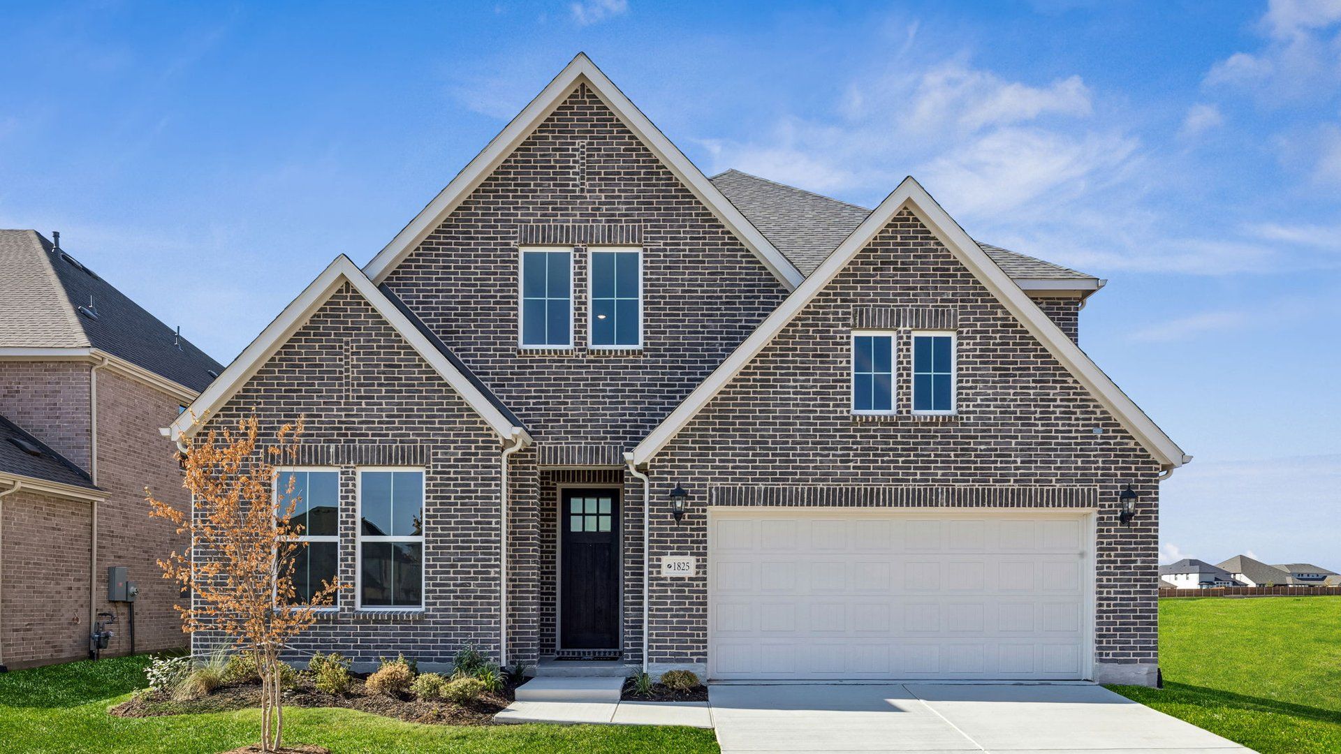 Toulouse - Cross Creek Meadows: Celina, Texas - Normandy Homes