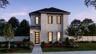 Calais - The Heights at Uptown Celina: Celina, Texas - Normandy Homes