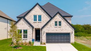 Toulouse - Cross Creek Meadows 55' & 60' Series: Celina, Texas - Normandy Homes