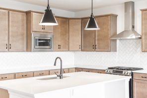 18732 Palisades Cove TRL (Davenport)