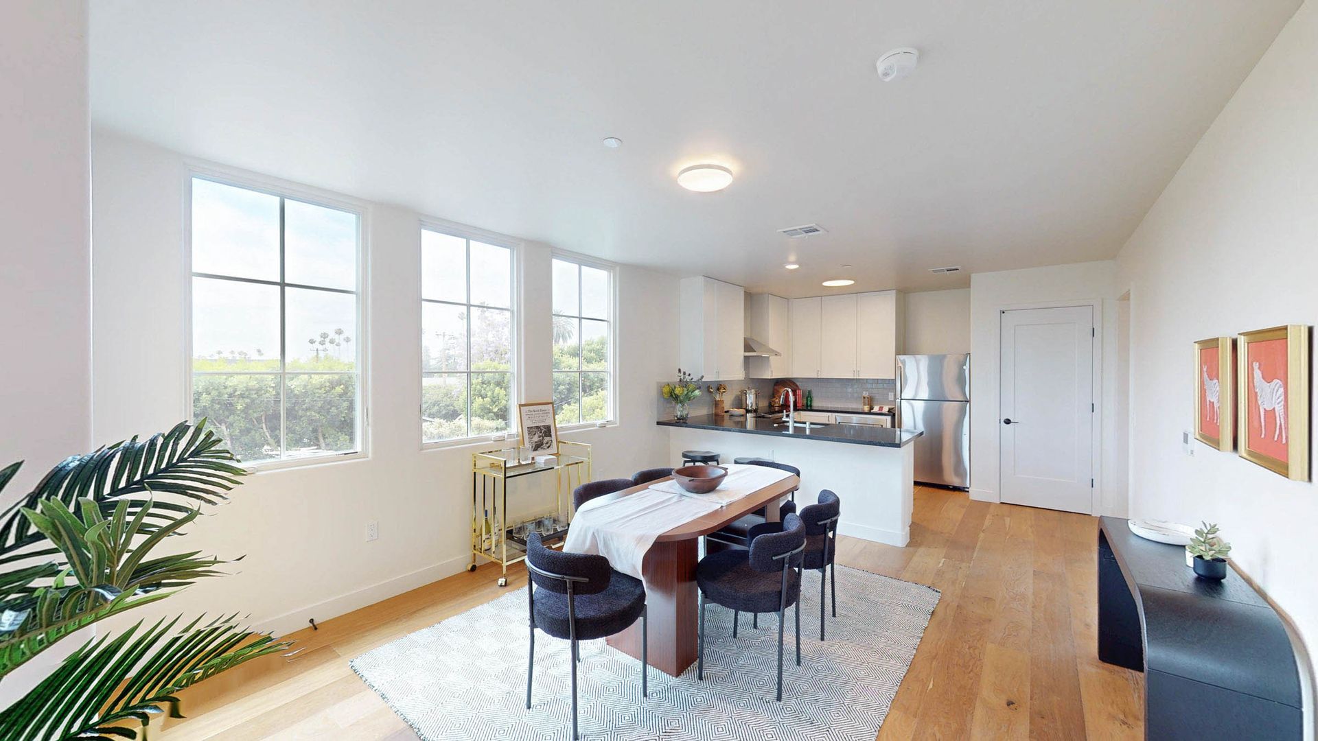 Expansive Windows