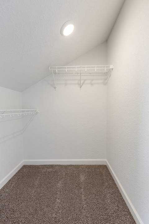 FROG closet