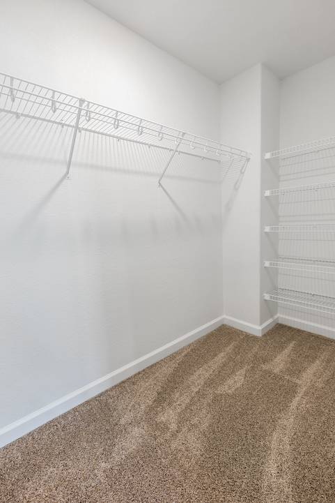 FROG closet