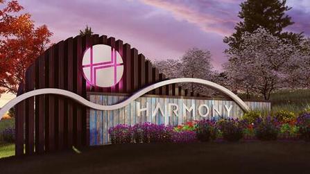 Harmony in Denver Colorado