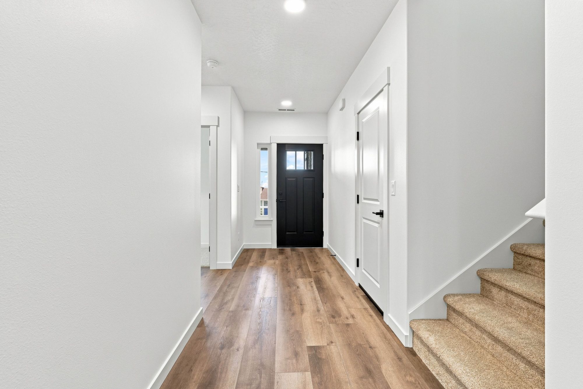 5_5357 n ainsworth