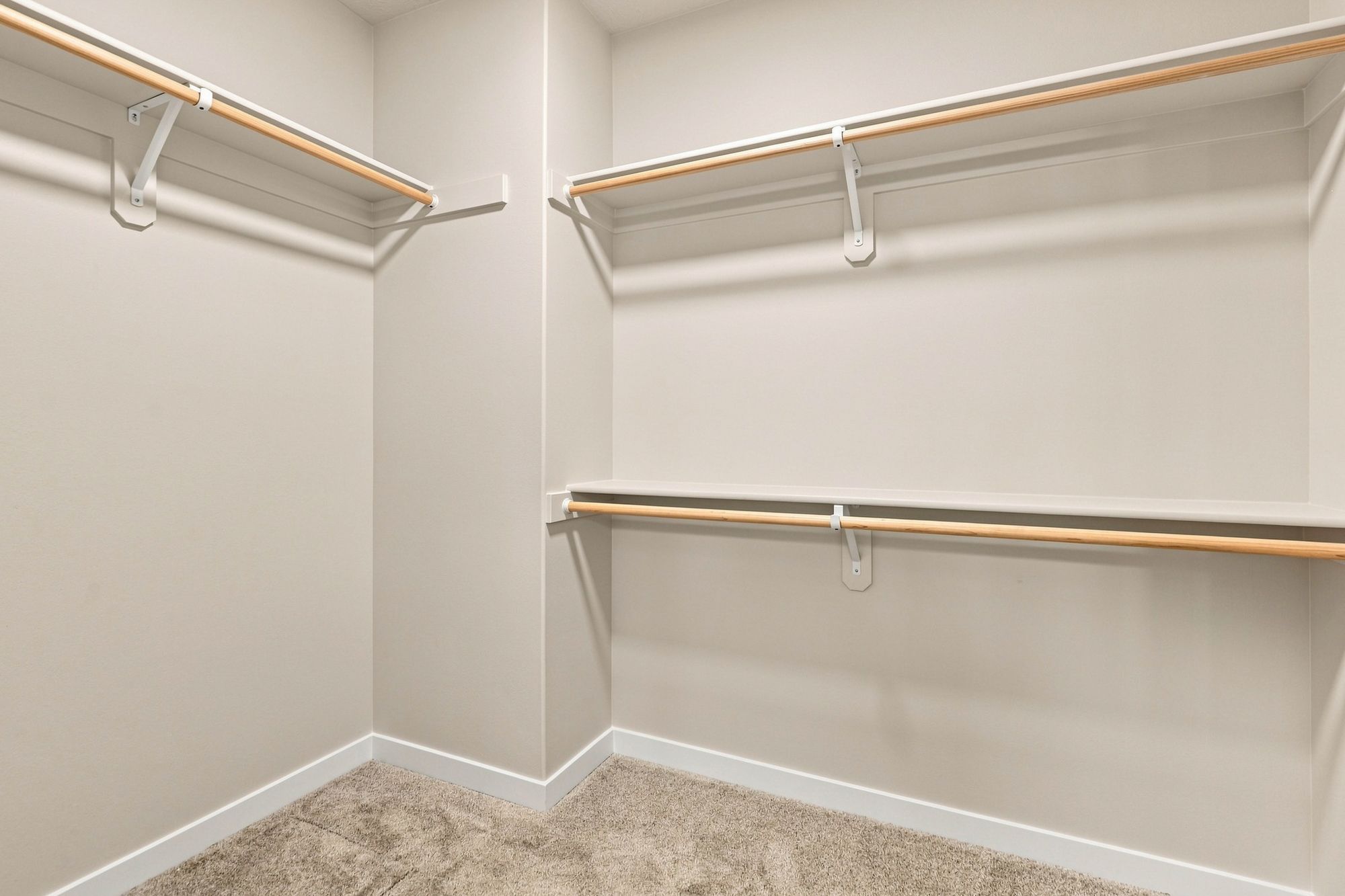 15_302 apple tree ct