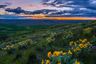 homes in Goose Ridge Estates by Hayden Homes, Inc.