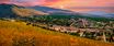 homes in Meadowlands by Hayden Homes, Inc.