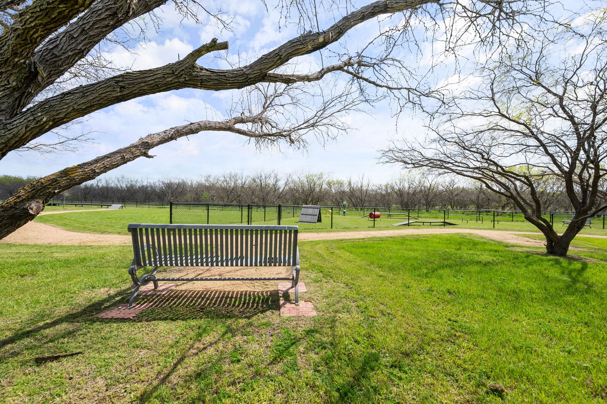 3-acre park with dog park and walking trail 