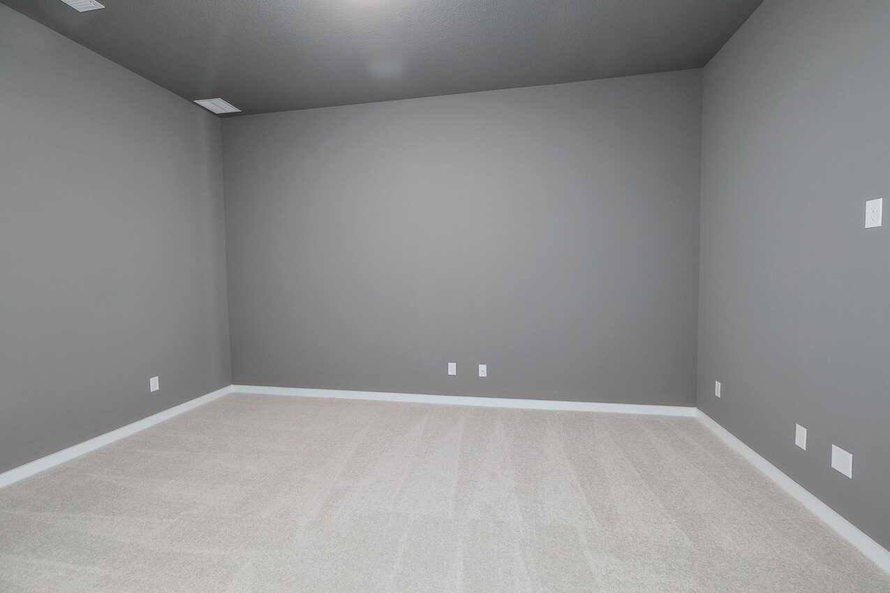 Entertainment Room