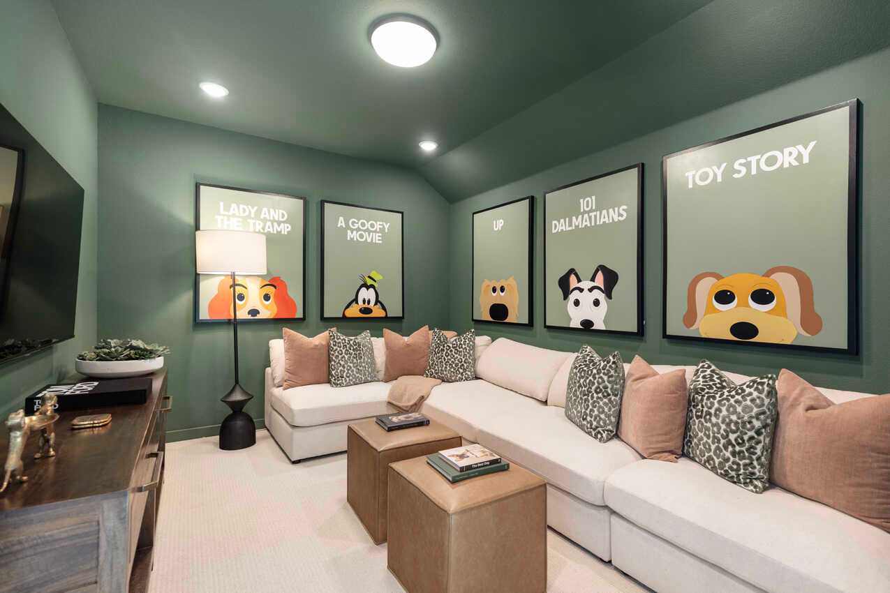 Entertainment Room