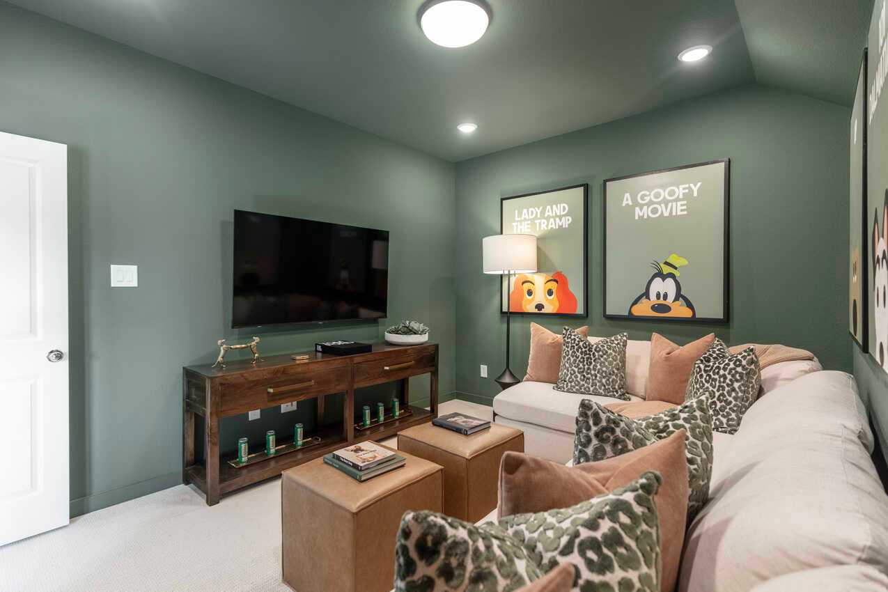 Entertainment Room