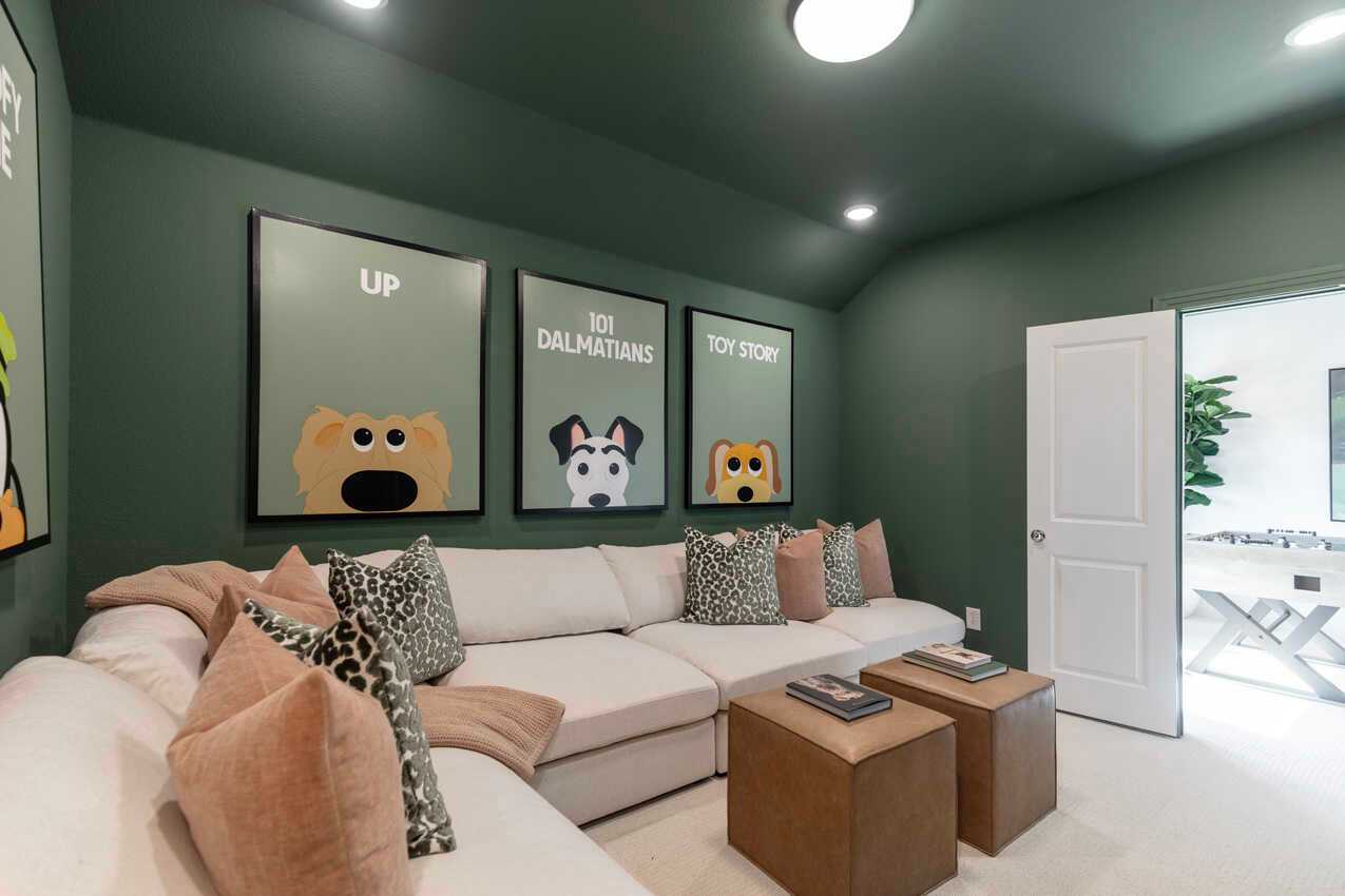 Entertainment Room