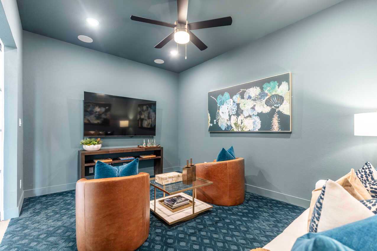 Entertainment Room