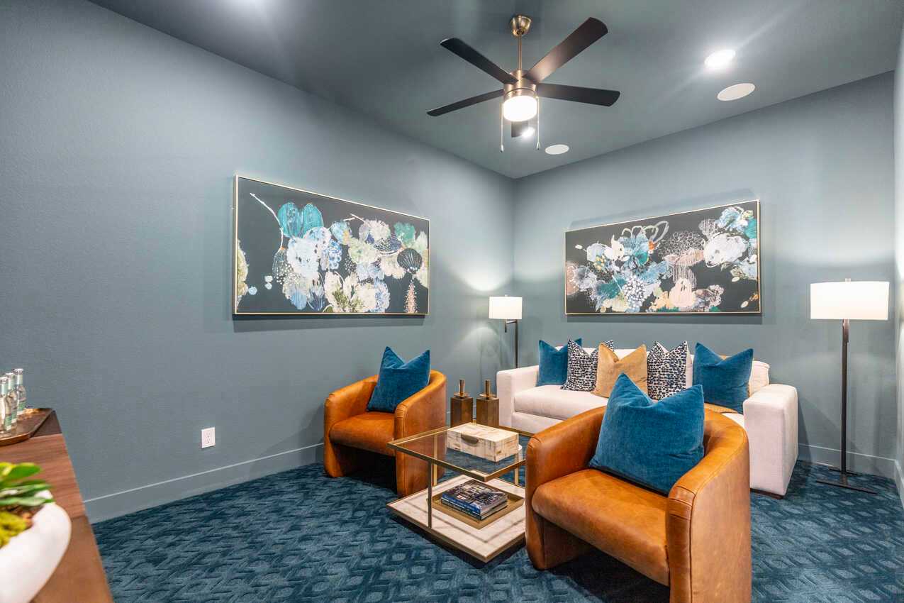 Entertainment Room