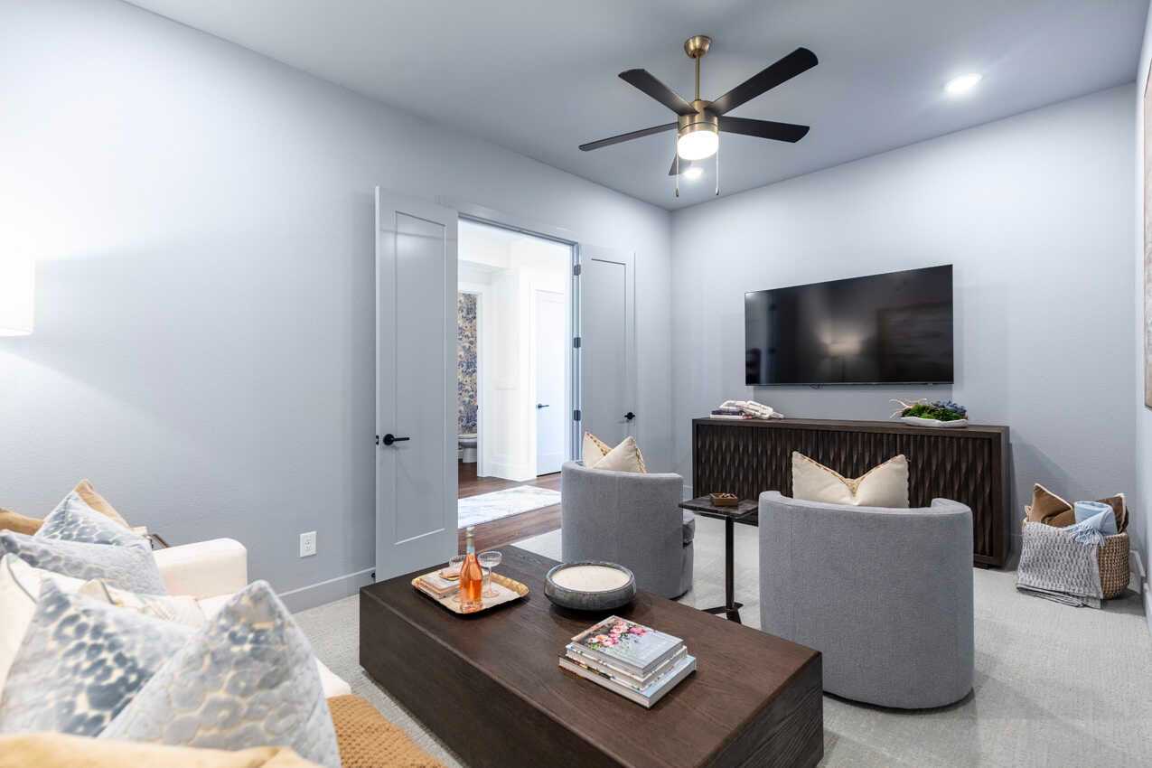 Entertainment Room