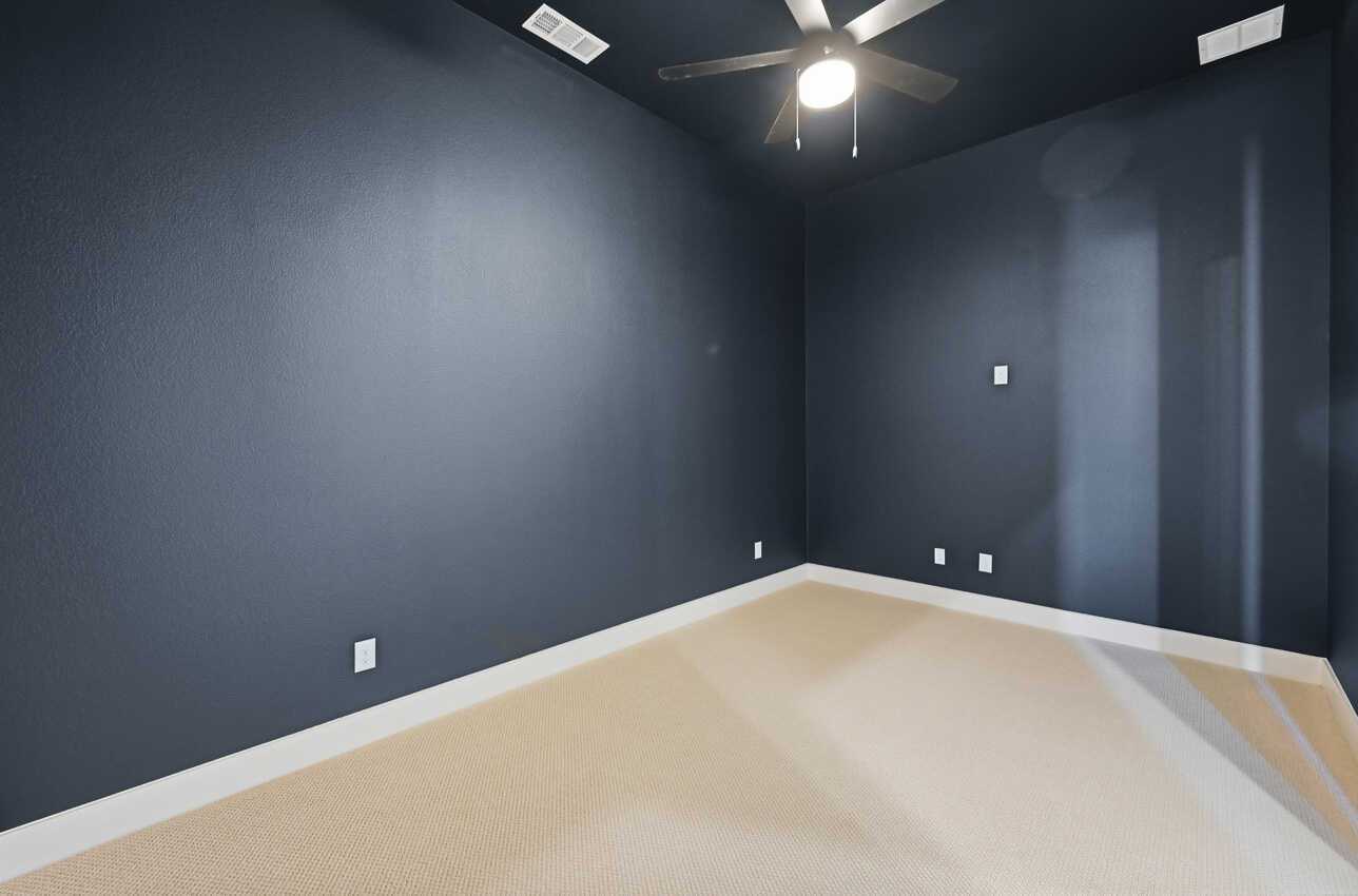 Entertainment Room