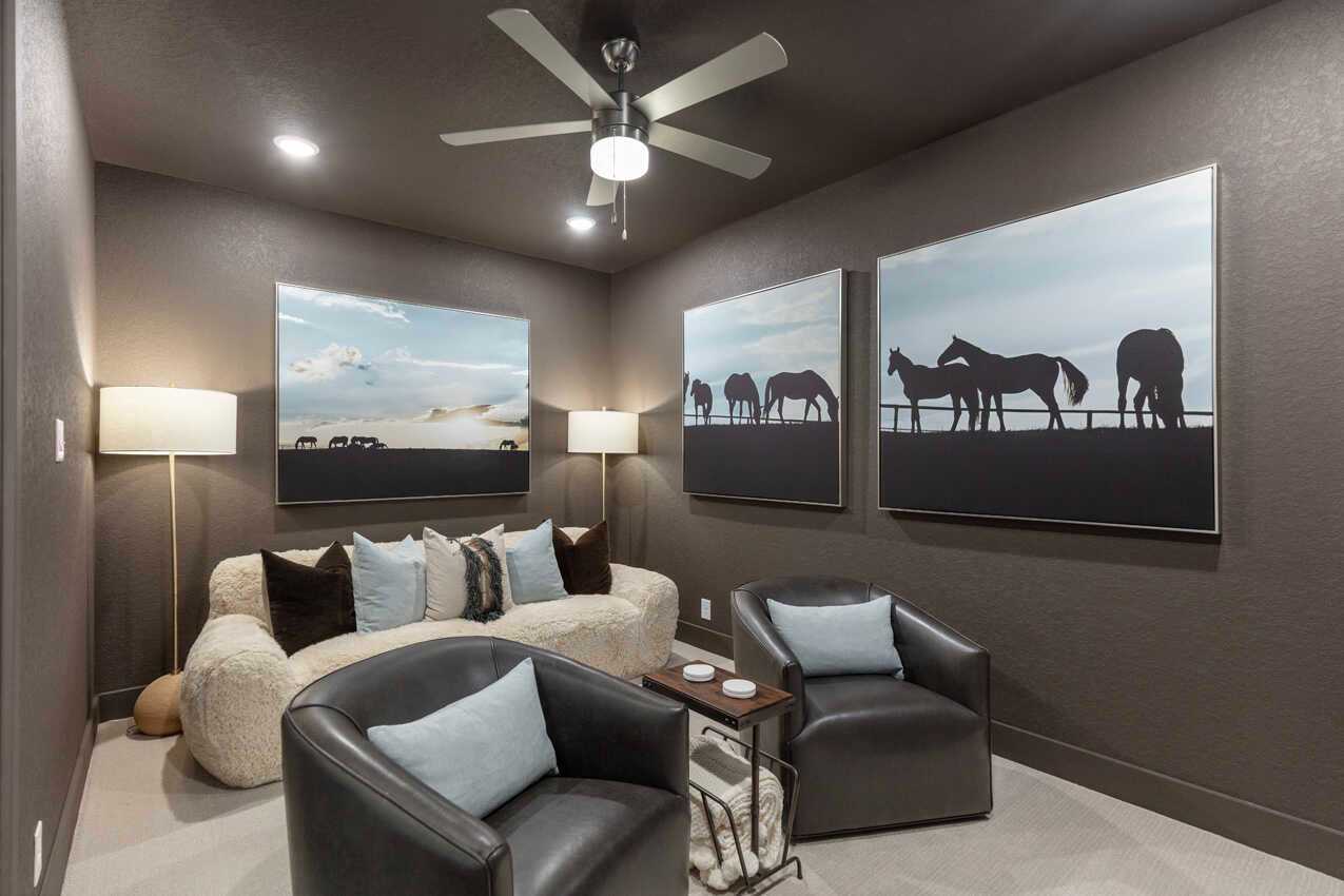Entertainment Room