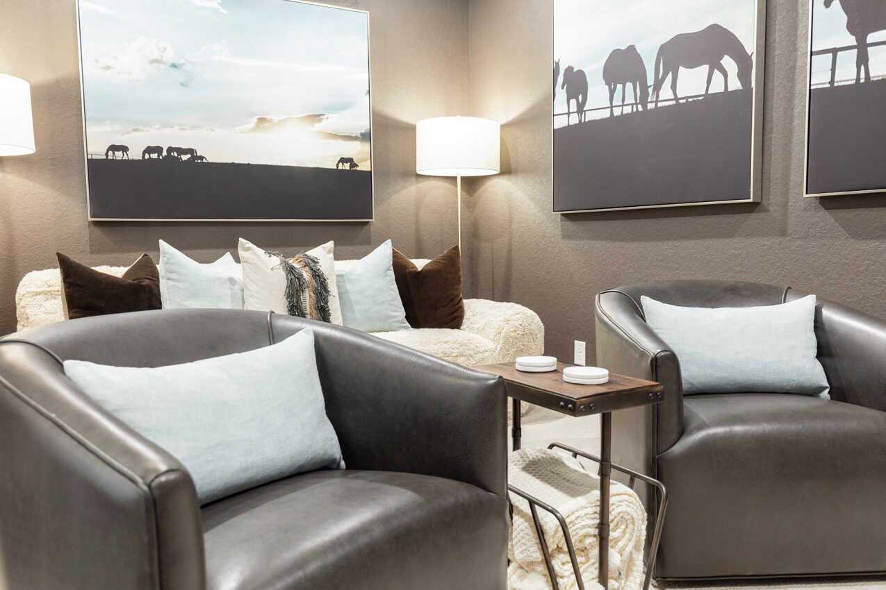 Entertainment Room