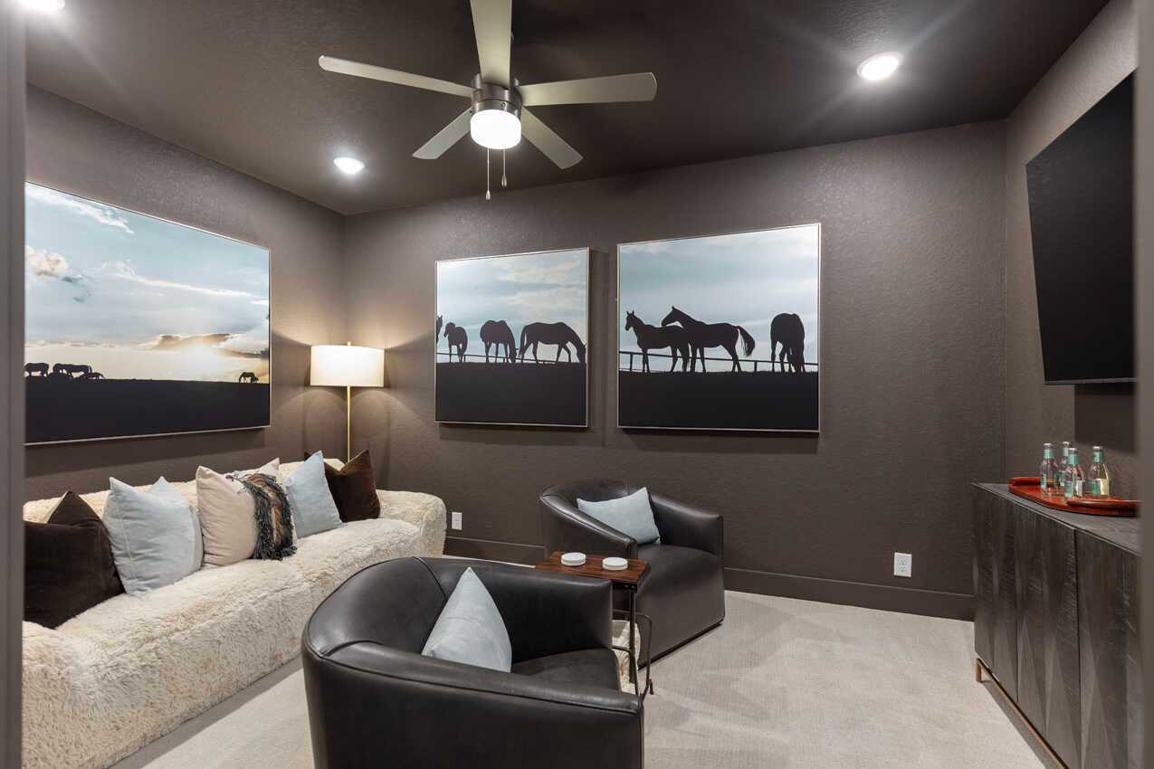 Entertainment Room