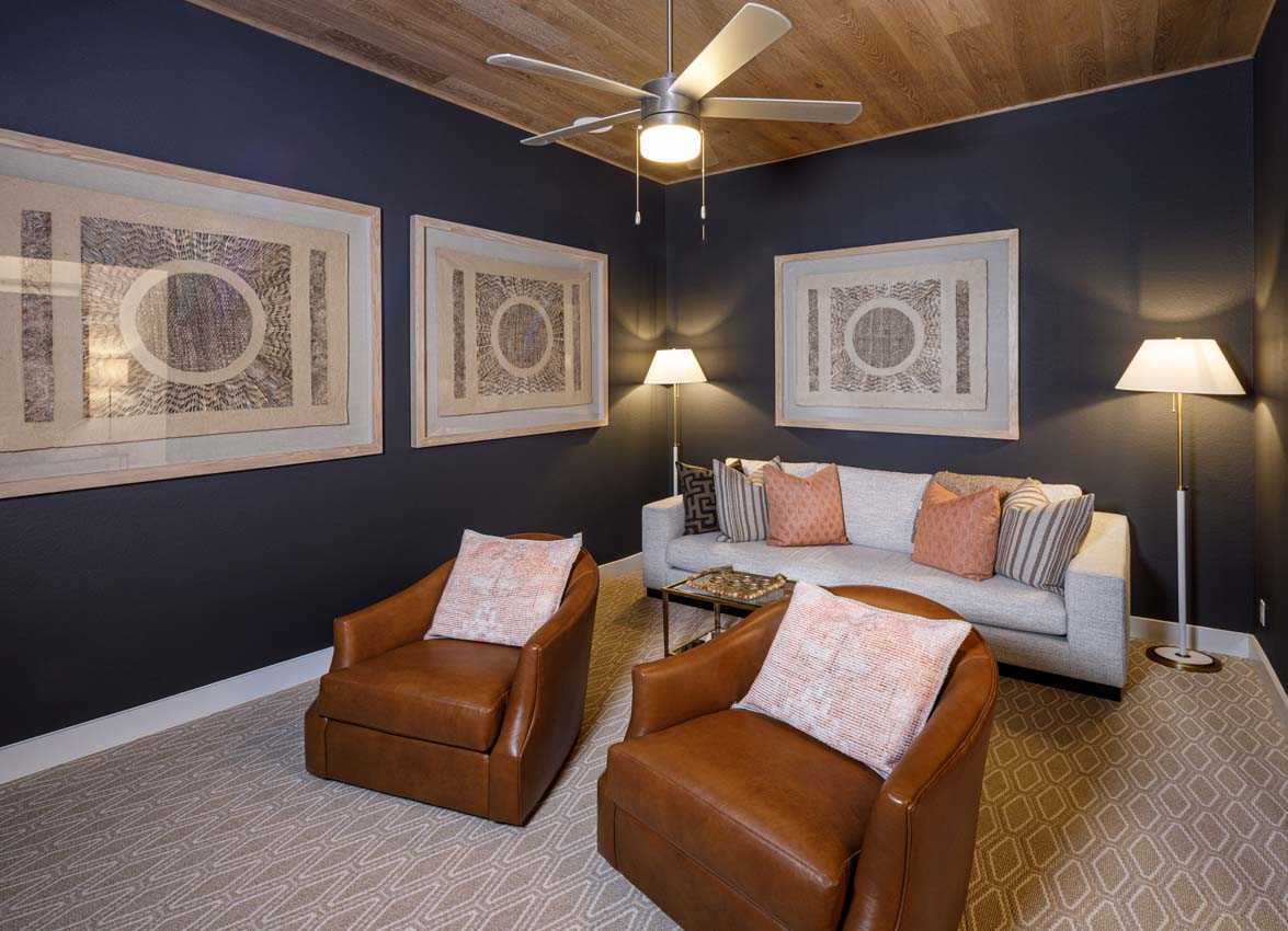 Entertainment Room