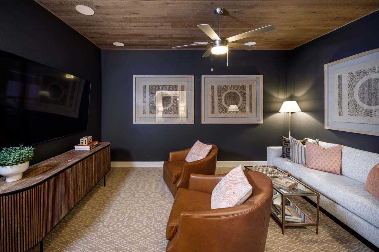 Entertainment Room