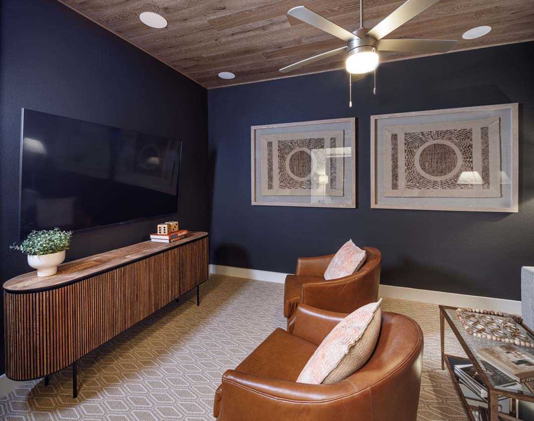 Entertainment Room