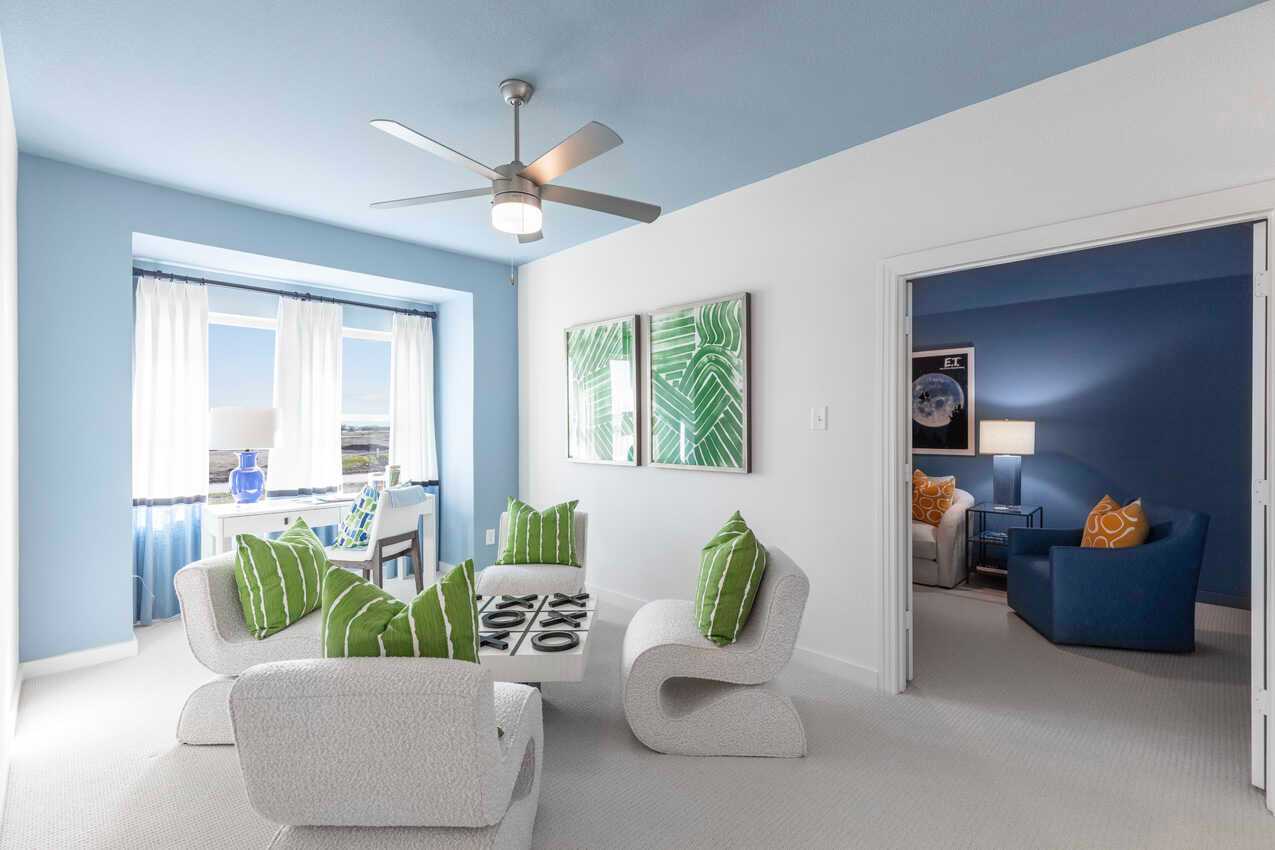 Game Room/Entertainment Room