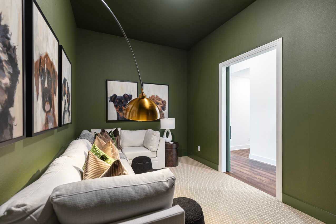 Entertainment Room