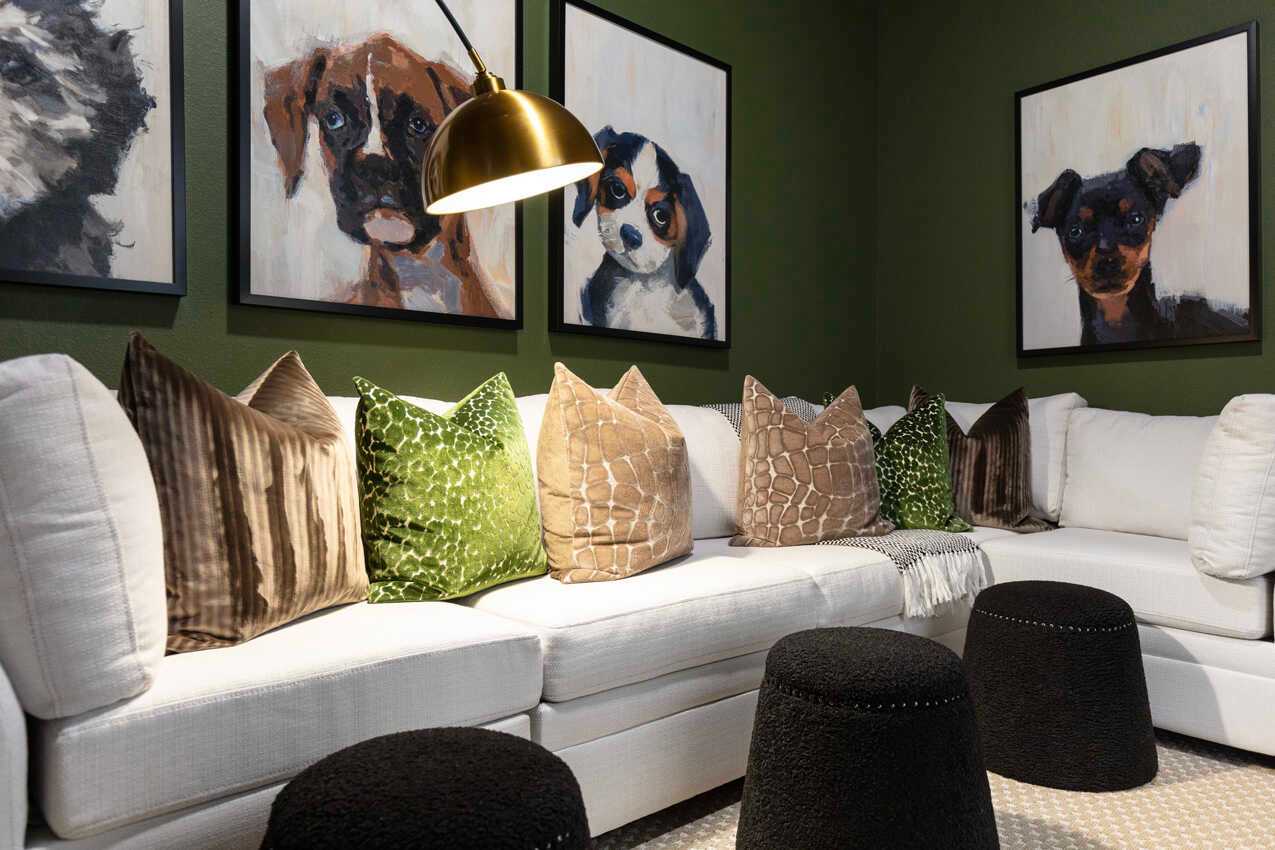 Entertainment Room
