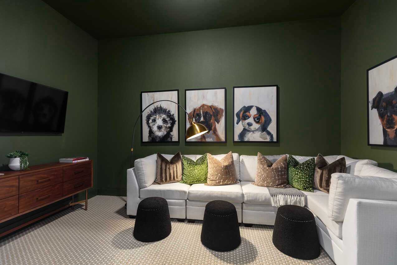 Entertainment Room