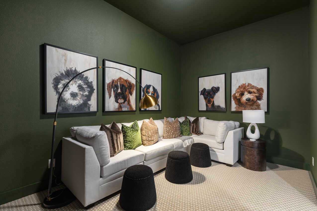 Entertainment Room