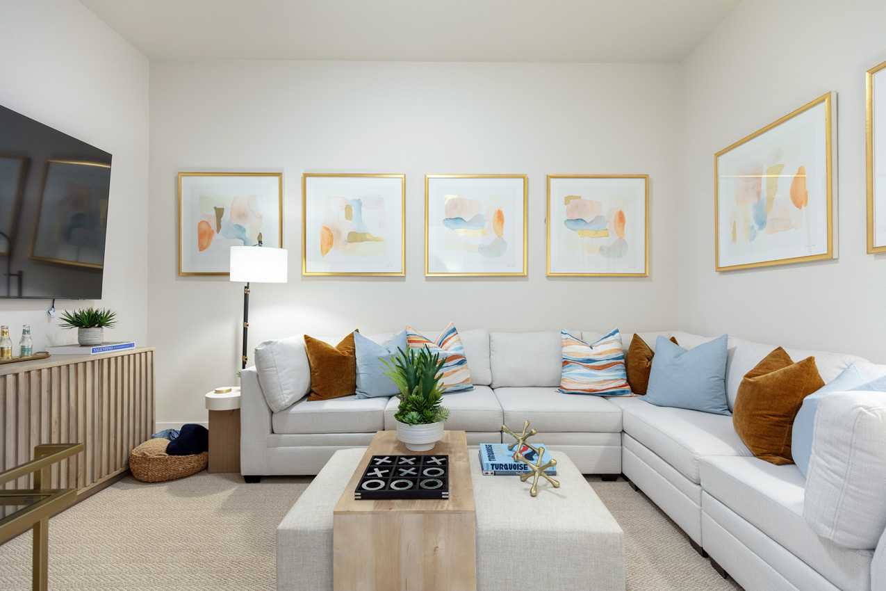 Entertainment Room