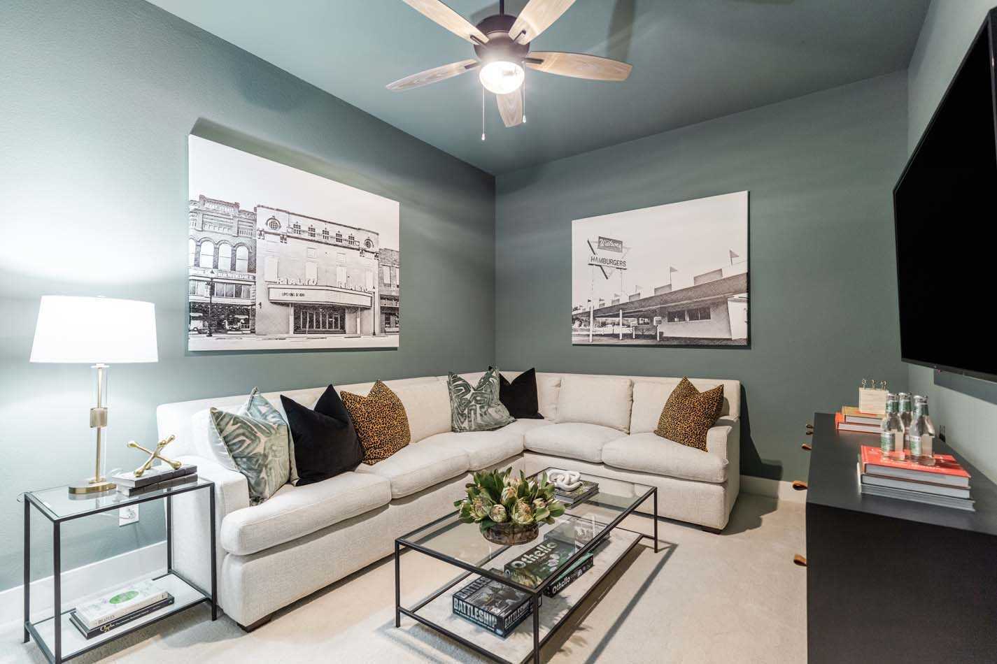 Entertainment Room