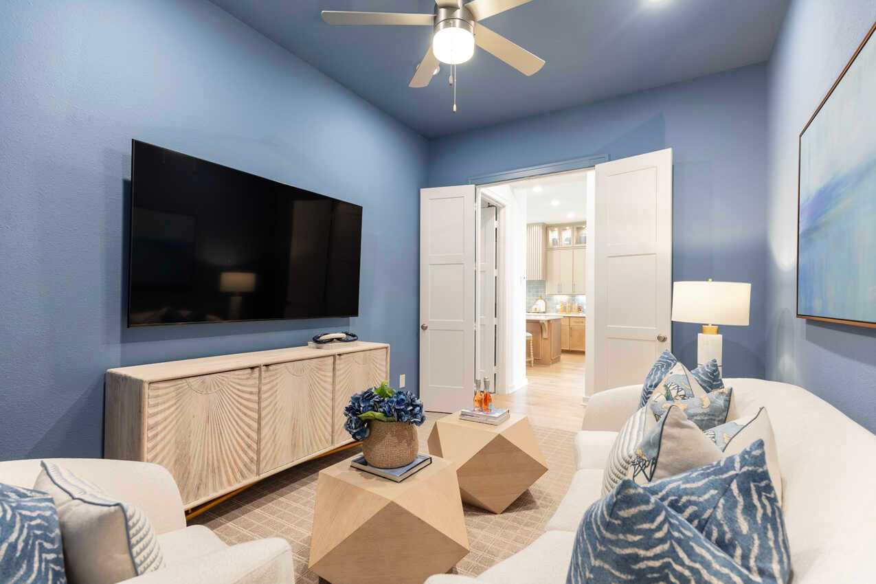 Entertainment Room