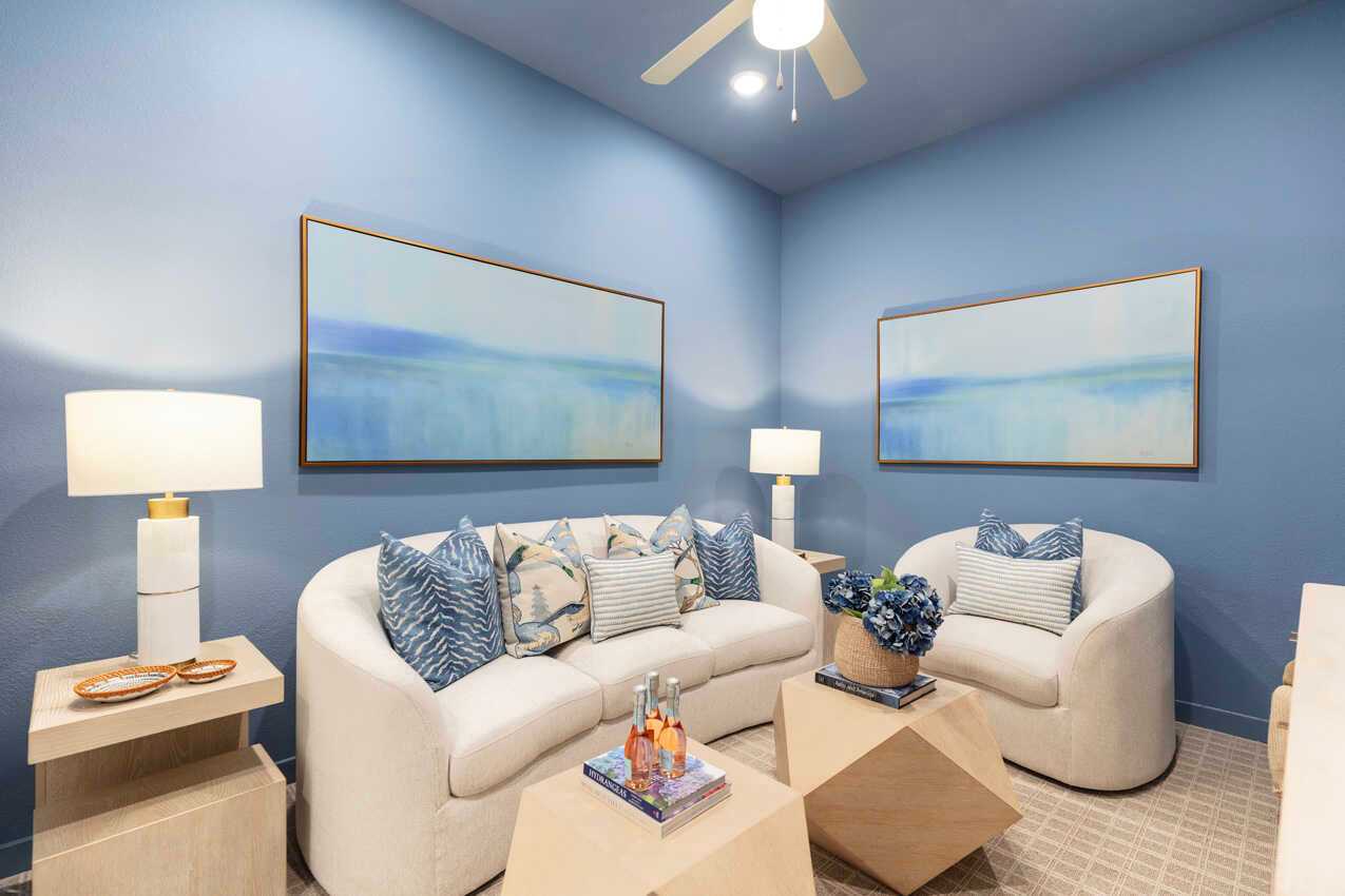 Entertainment Room