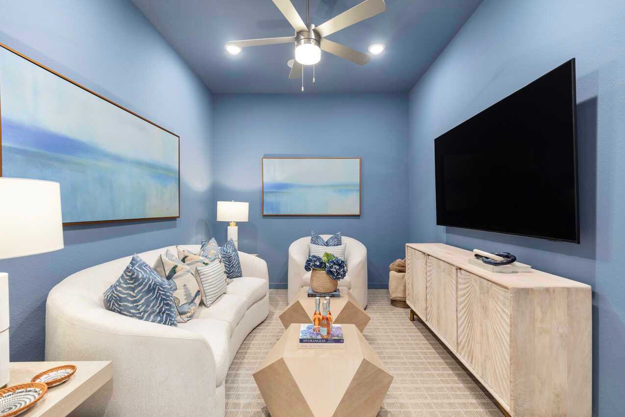 Entertainment Room