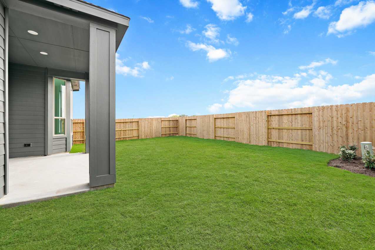 Backyard