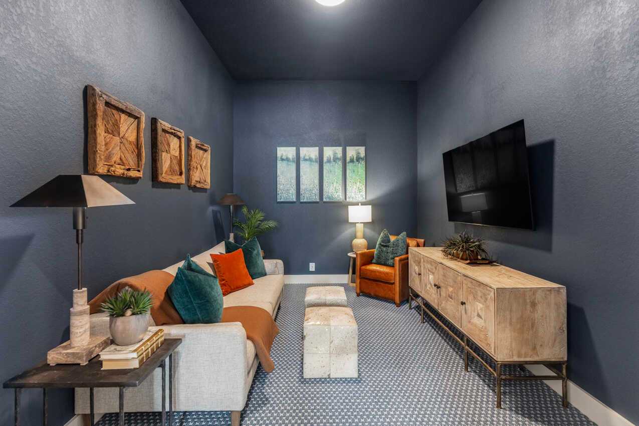 Entertainment Room