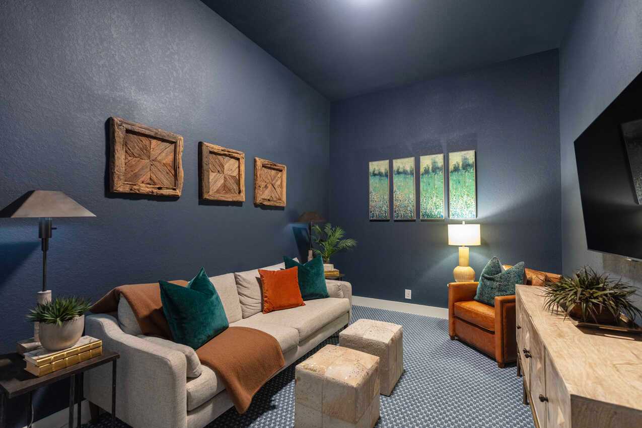 Entertainment Room