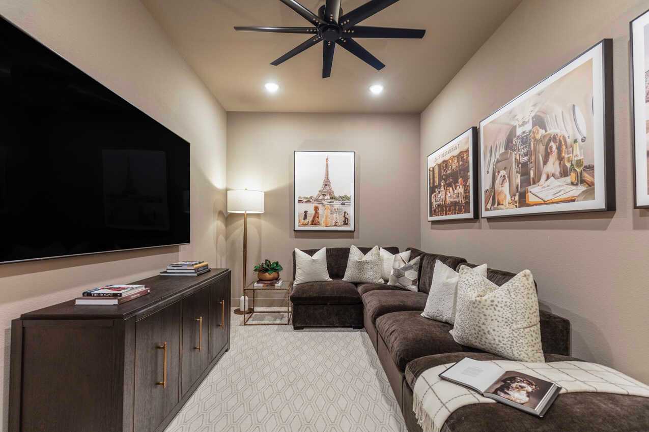 Entertainment Room