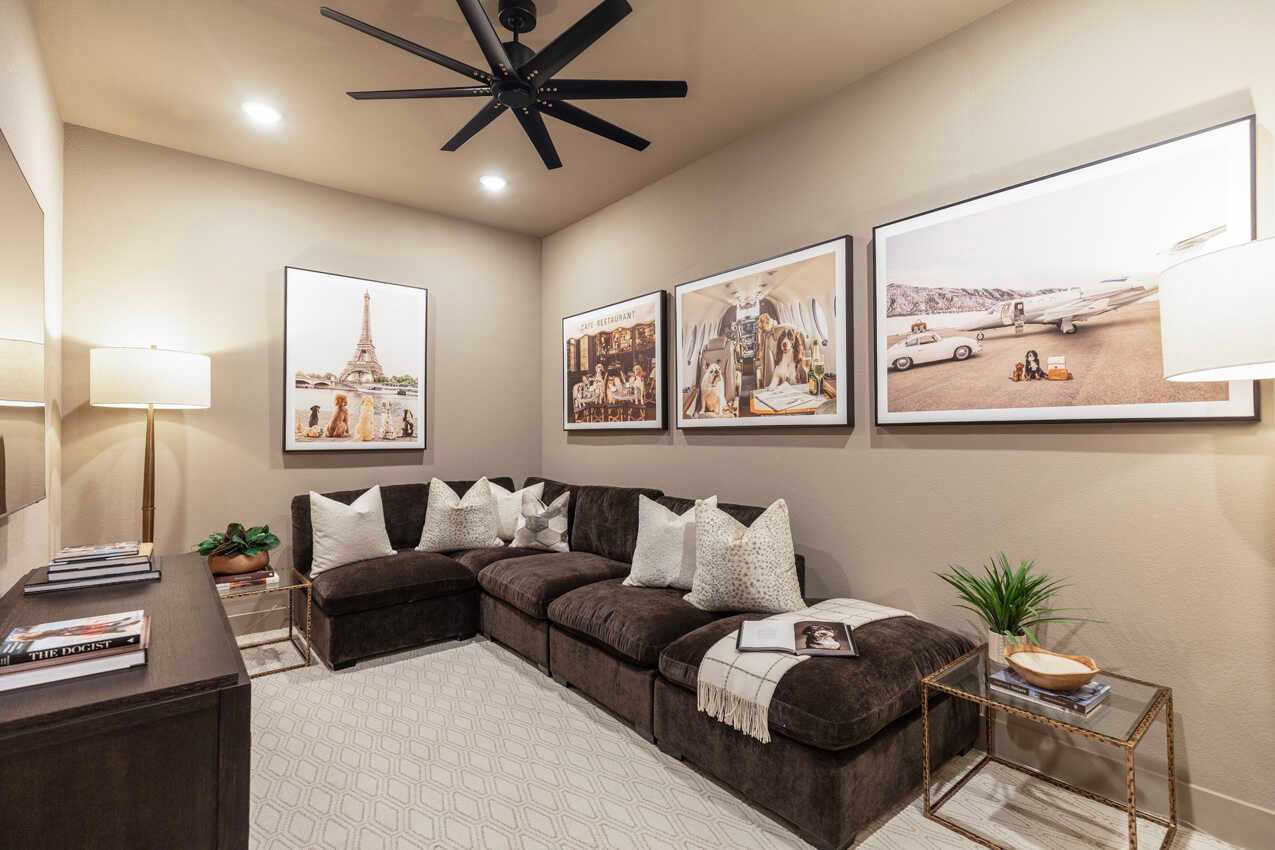 Entertainment Room